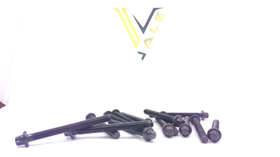 BMW 3-5 SERİSİ SİLİNDİR KAPAK SAPLAMASI SET E34.E36.E39.M50 REİNZ