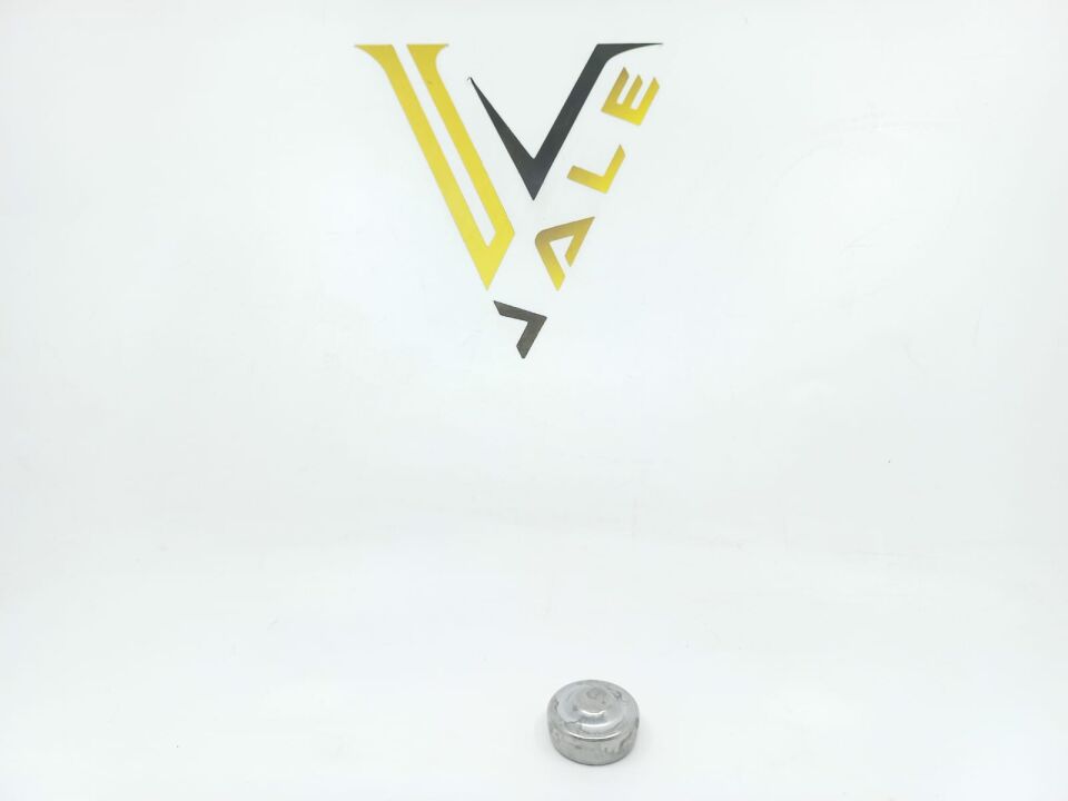 MİNİ COOPER KAPATMA TAPASI F20.F30.MİNİ.R56.N13 YAN SANAYİ