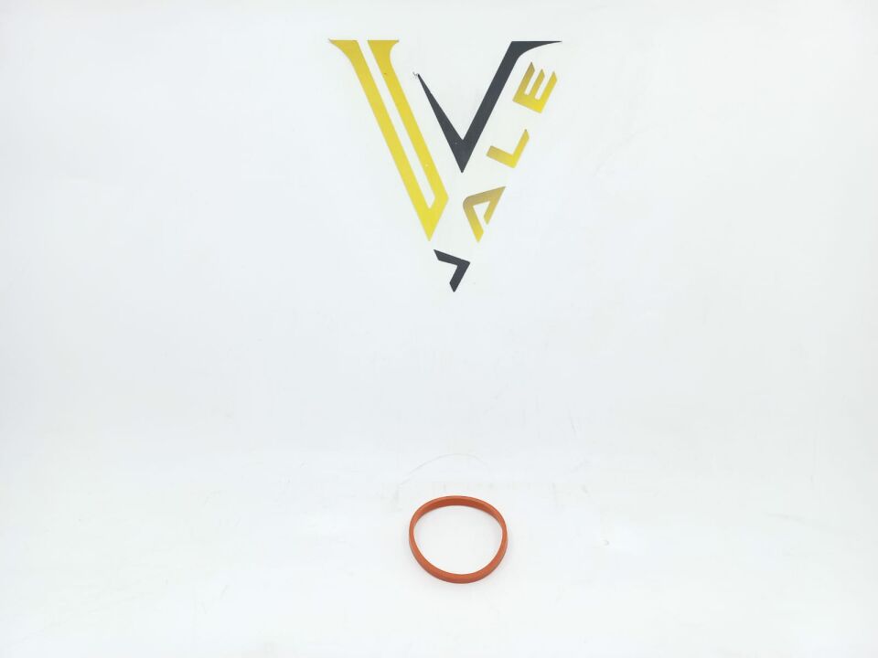 BMW MİNİ EMME MANİFOLD CONTASI R55.R56.R60.F20.F30 REİNZ