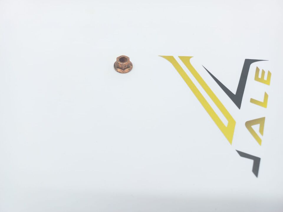 BMW 3-5 SERİSİ EKSOZ MANİFOLD SOMUNU E87.F20.E90.F30.G20.F10 ELRİNG