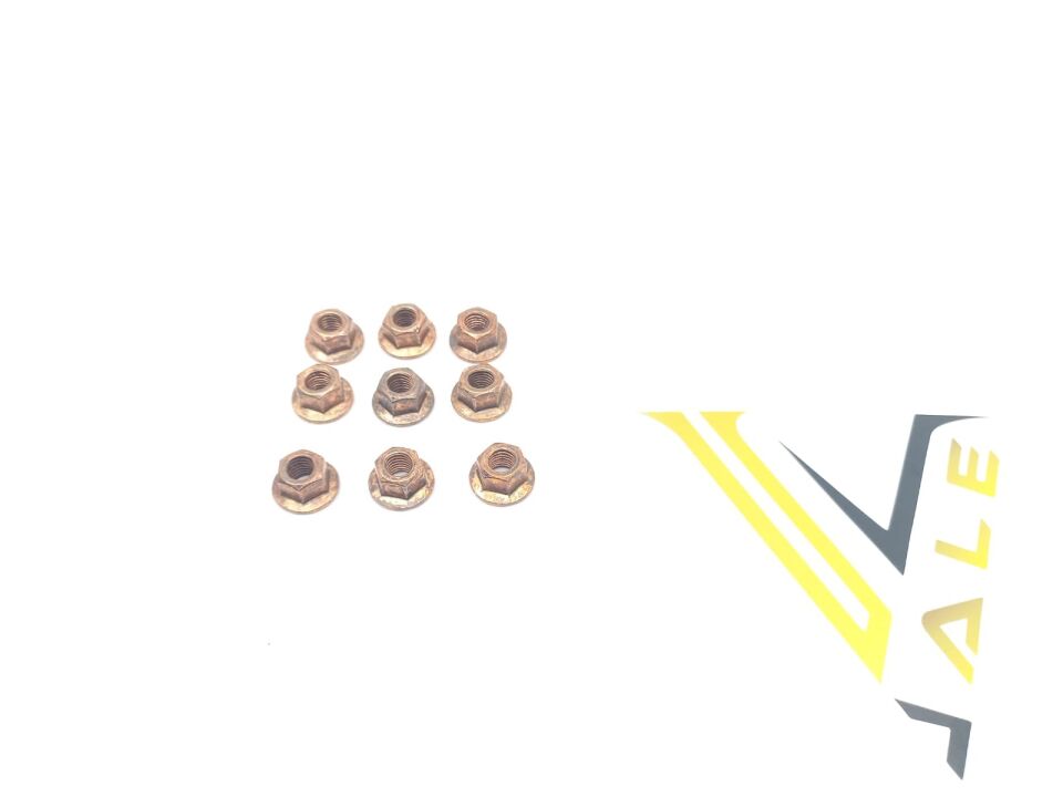 BMW 3-5 SERİSİ EKSOZ MANİFOLD SOMUNU E87.F20.E90.F30.G20.F10 ELRİNG