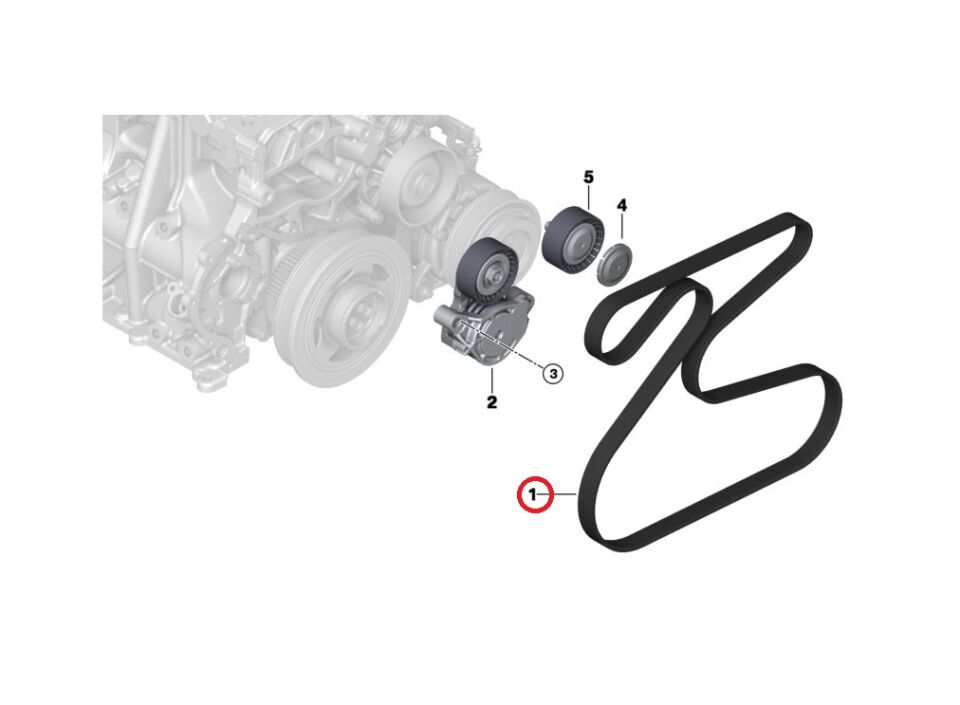 BMW 1 SERİSİ V KAYIŞI 6PK1155 F20 LCI CONTITECH