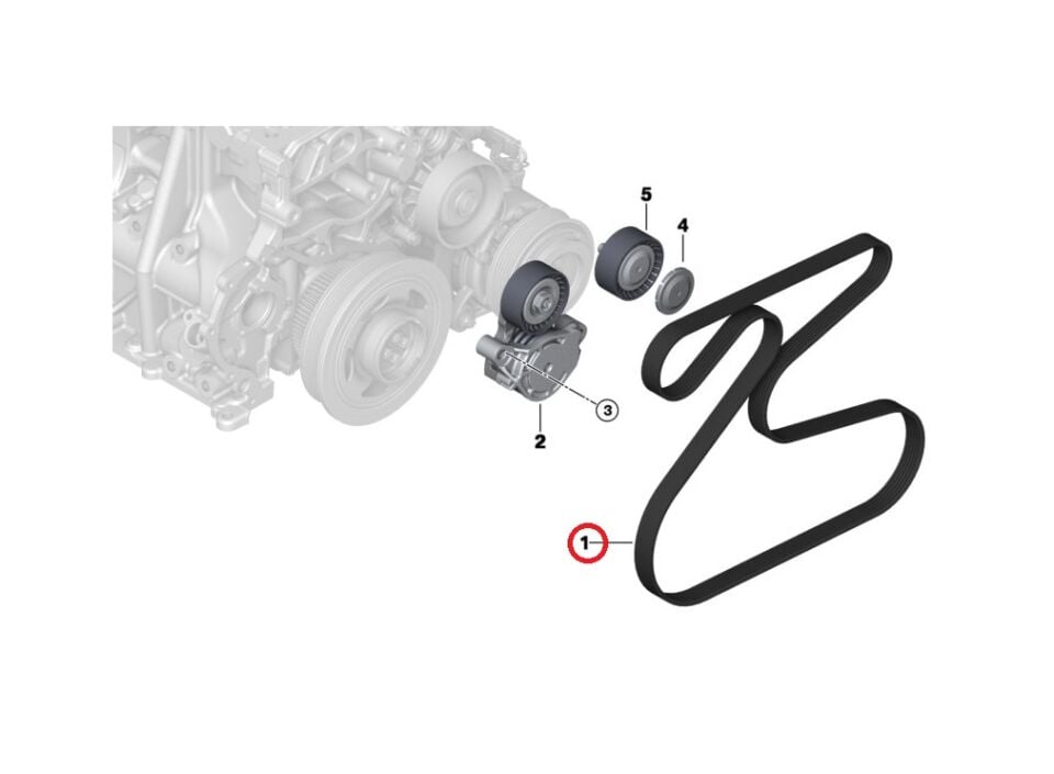BMW 1 SERİSİ V KAYIŞI 6PK1155 F20 LCI CONTITECH