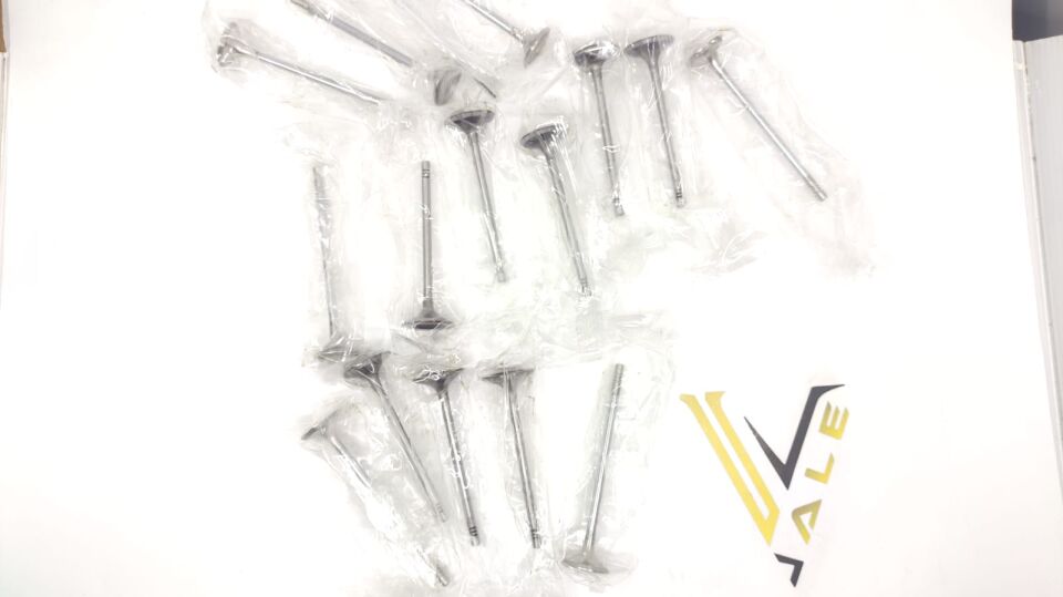 BMW 1-3 SERİSİ EMME EKSOZ SUBAP TAKIM F20.F30.N13 YAN SANAYİ