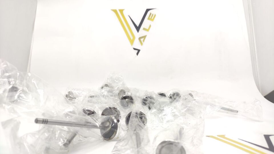 BMW 1-3 SERİSİ EMME EKSOZ SUBAP TAKIM F20.F30.N13 YAN SANAYİ