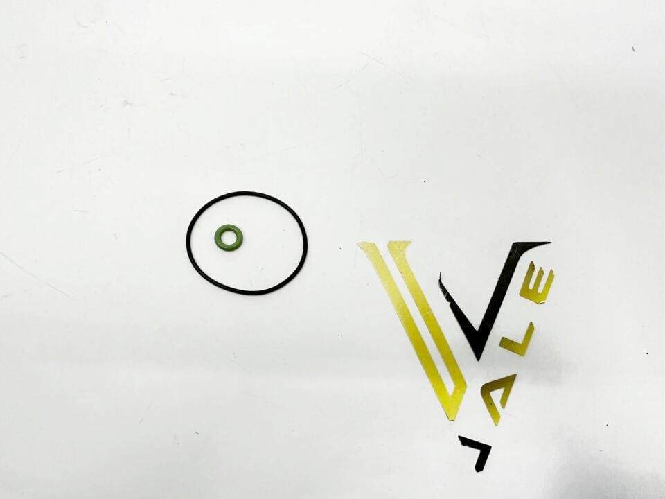 BMW 1-3 SERİSİ VAKUM POMPA ORİNG SET F30.F20.N13 REİNZ