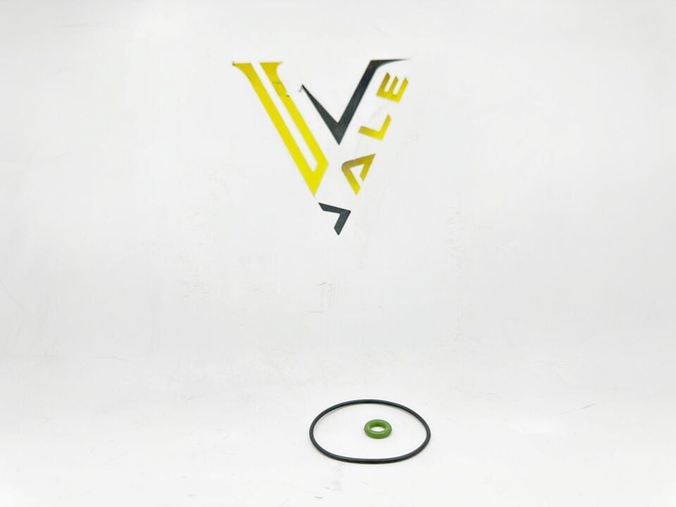 BMW 1-3 SERİSİ VAKUM POMPA ORİNG SET F30.F20.N13 REİNZ